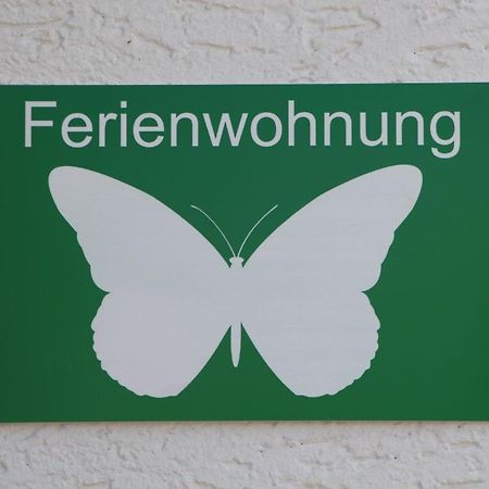 Ferienwohnung Schmetterling Trendelburg Zewnętrze zdjęcie